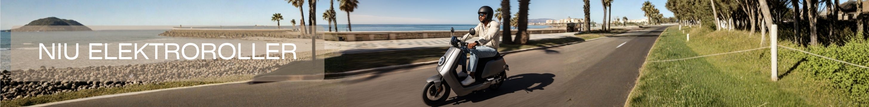 NIU E-Roller für Pendler & Stadtbewohner – effizient unter Spannung bis 100 km/h. Probefahrt E-PERFORMANCE Schweiz 